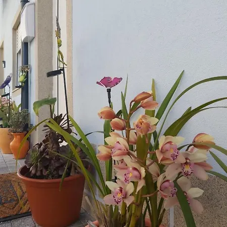 Alto Da Lapa Luxury House Free 1 Parking Place Porto Exterior foto