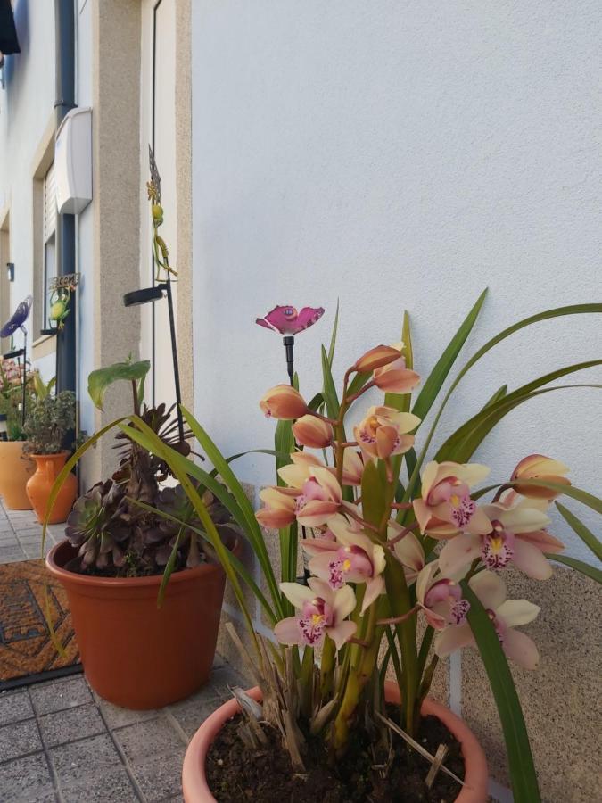 Alto Da Lapa Luxury House Free 1 Parking Place Villa Porto